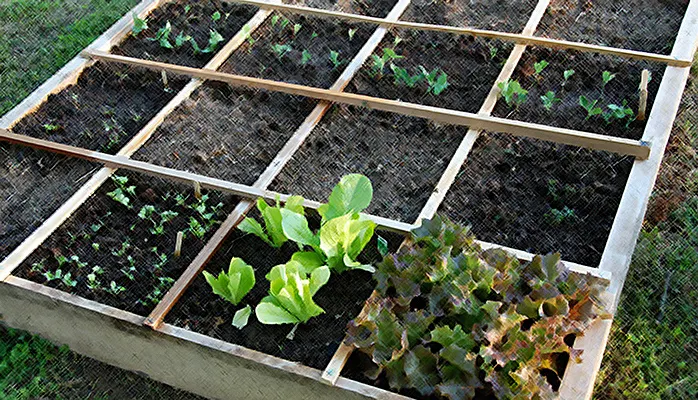 Walling off the Garden: Balancing Security with Usability